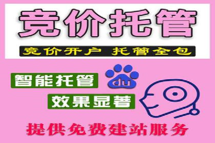 搜索引擎营销（SEM）的广告创意与落地页设计——以某成功创业公司的实践为例
