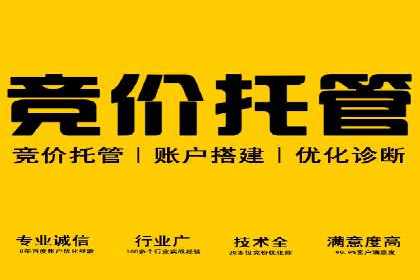 企业SEM优化托管实战案例